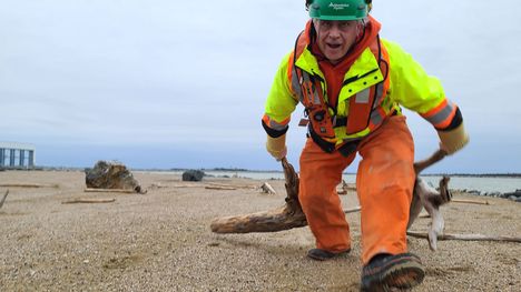 Northern Boat Patrol’s efforts on island habitat will help gull populations flourish