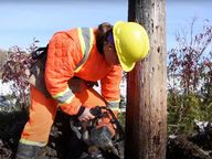 Vignette pour la vidéo : « Ce que nous faisons pour restaurer les poteaux d’électricité ».