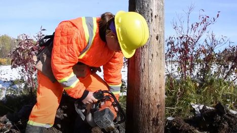 Preventative pole maintenance ensures safety